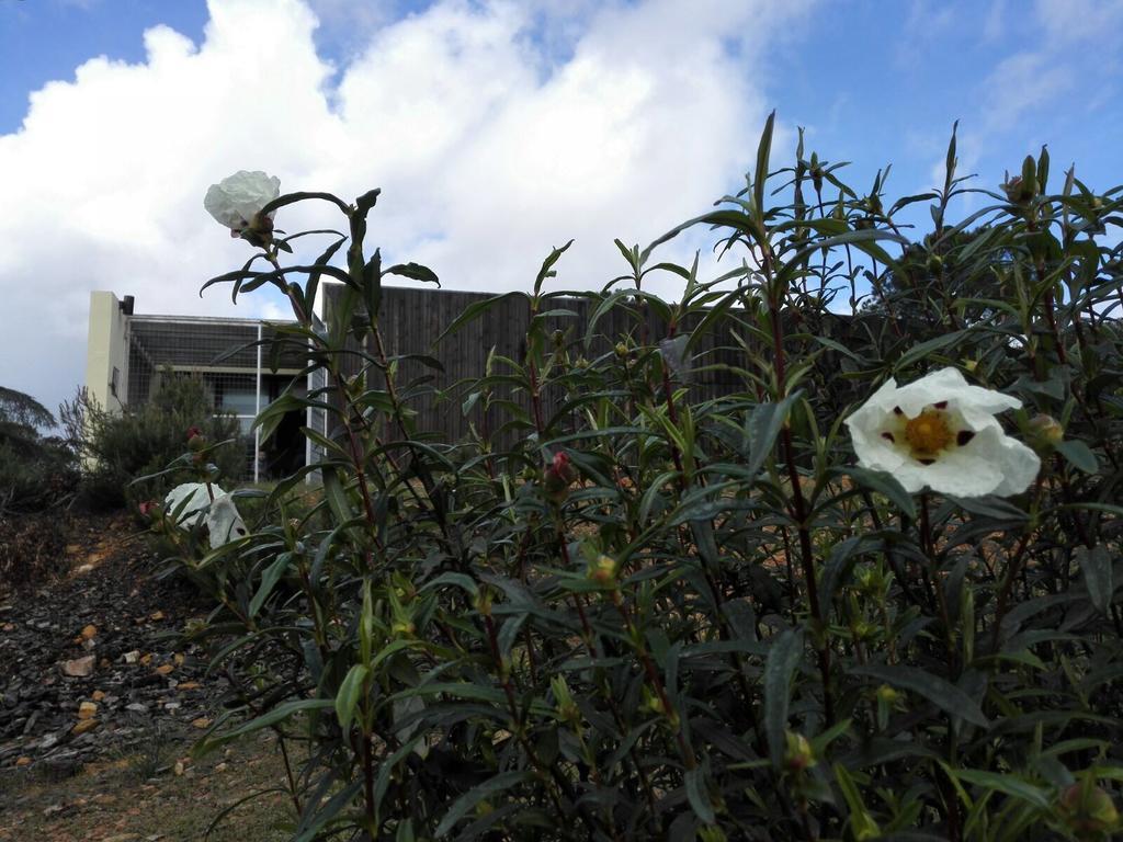 Casas Rurales Cijara Vendégház Helechosa Kültér fotó