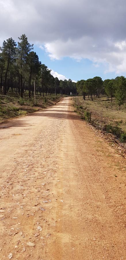 Casas Rurales Cijara Vendégház Helechosa Kültér fotó